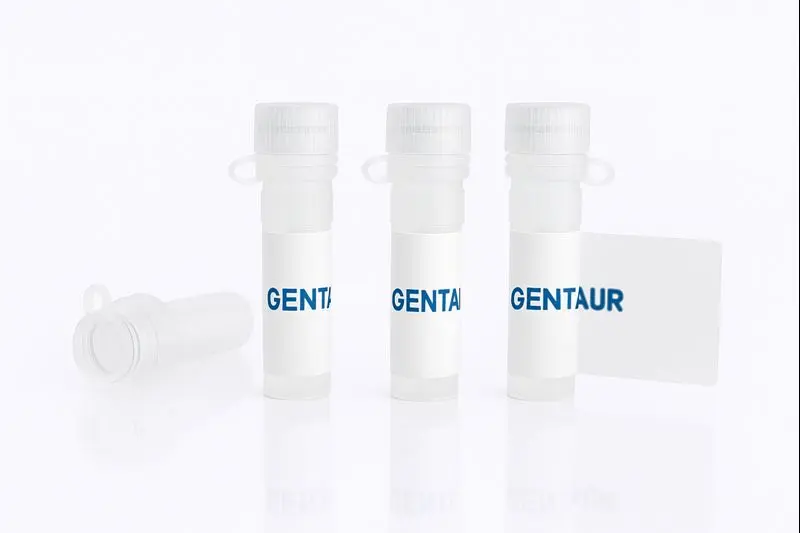 CD79B, Cynomolgus (Biotinylated, HEK293, His-Avi)