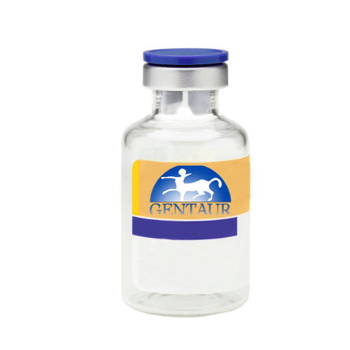 Recombinant Human Galectin 1, His Tag