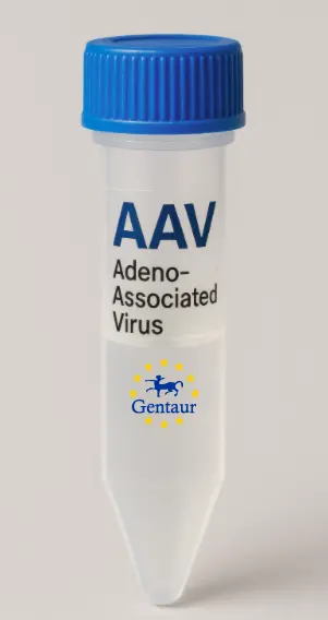 CDS1 AAV Vector (Mouse) (CMV)