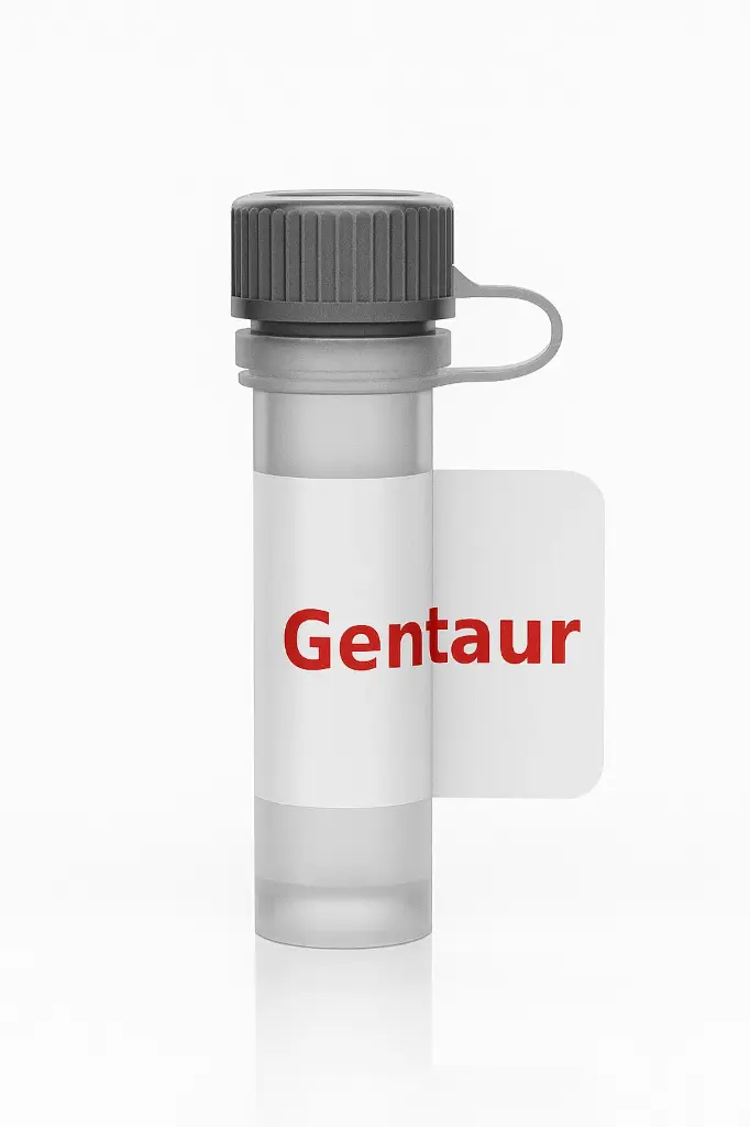 Rat Anti-Mouse CD3 Antibody(Clone 17A2), APC